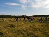 IMG-20170901-WA0046