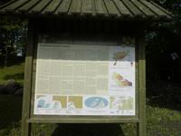P1170549