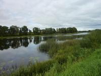 P1170820