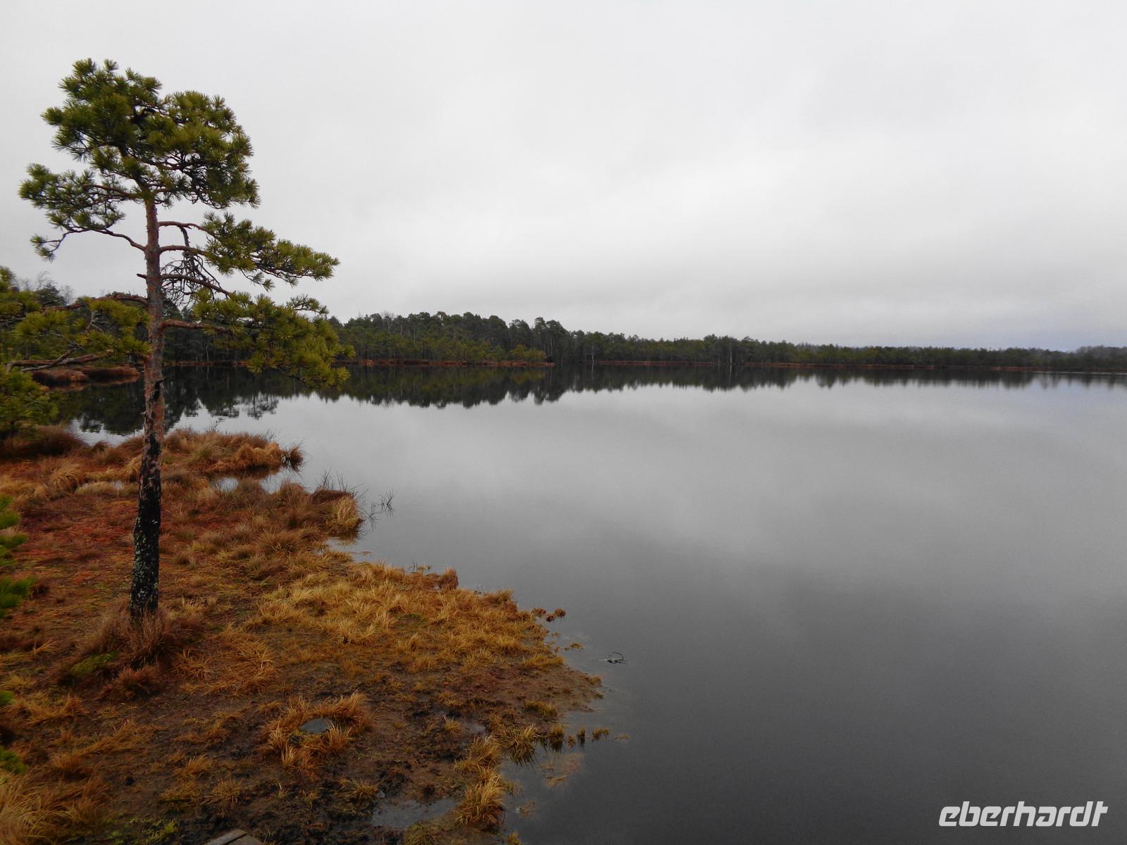 Weihnachten in Estland - Spaziergang im Hochmoor Kakerdaja