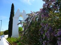 118_Kirche Franshoek