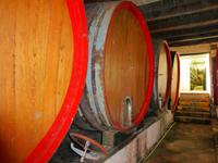 133_im Weinkeller