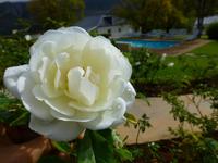 169_Hotel Oudtshorn