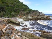 233_Im Tsitsikamma-Nationalpark