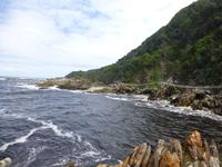 234_Im Tsitsikamma-Nationalpark