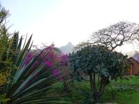 366_Abendstimmung in Swaziland