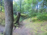 Am Kalvarienberg in Wejherowo