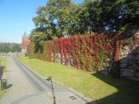 am Deutschordensschloss von Sztum