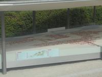 Lageplan der Römerstadt Carnuntum, in Österreich. 