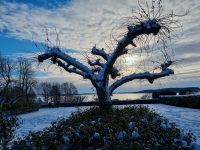 Bosjökloster - Ringsee
