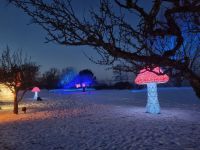 Winter auf Norrviken