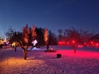 Winter auf Norrviken