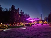 Winter auf Norrviken