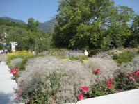 Blumenbeet am Kloster Neustift