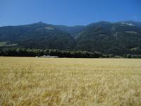 Landschaft in Spittal