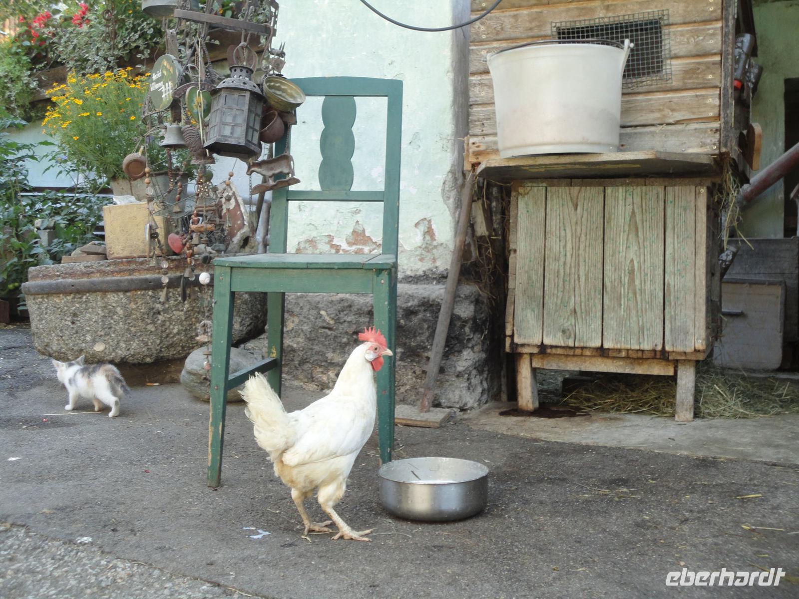 Bauernhof in Pobersach - Gasthof Wallner