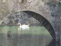 Stadtrundgang in Brixen