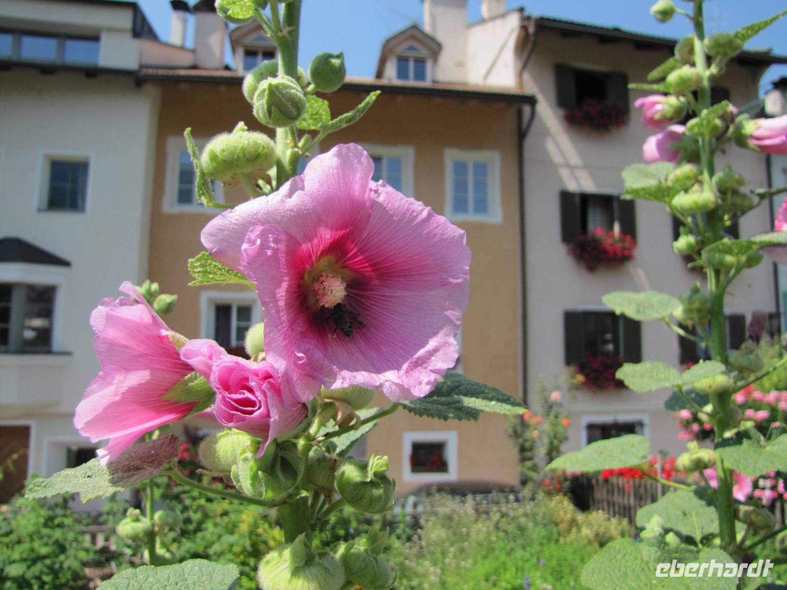Stadtrundgang in Brixen 