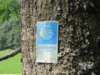 Wanderung durch das Pustertal nach Bruneck