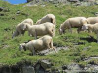 Wanderung auf dem Zettersfeld