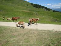 Wanderung auf dem Zettersfeld