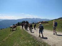 Wanderung auf dem Zettersfeld
