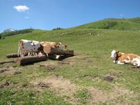 Wanderung auf dem Zettersfeld