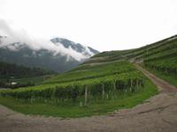 Besichtigung - Kloster Neustift