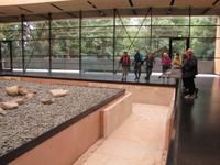 Radtour von Lienz nach Spittal - Museum Aguntum