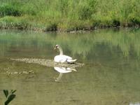 Radtour von Villach nach Kirchentheuer