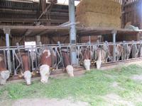 Radtour von Villach nach Kirchentheuer