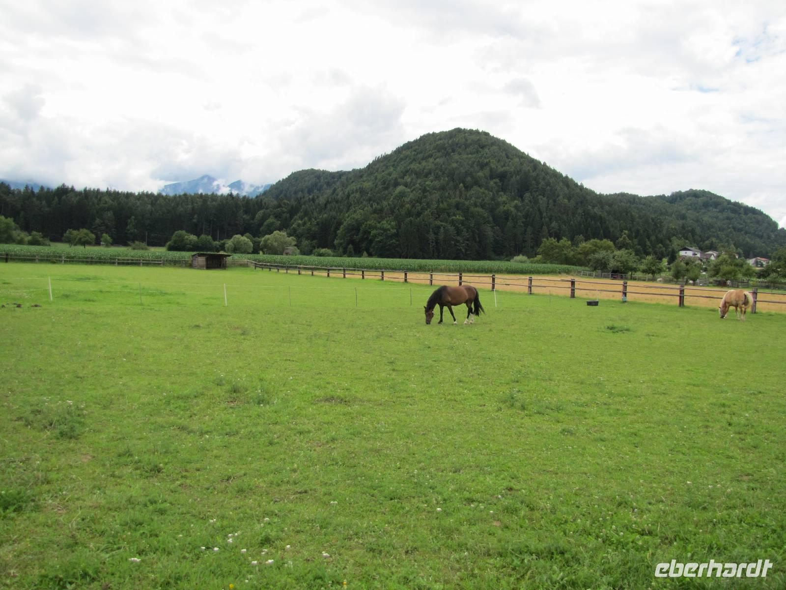 Radtour von Kirchentheuer nach St.Kanzian
