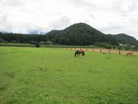 Radtour von Kirchentheuer nach St.Kanzian