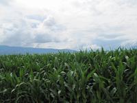 Radtour von Kirchentheuer nach St.Kanzian
