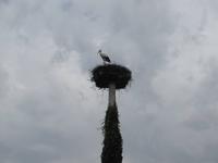 Radtour von Maribor nach Ptuj