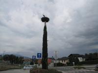 Radtour von Maribor nach Ptuj