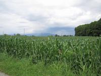 Radtour von Maribor nach Ptuj