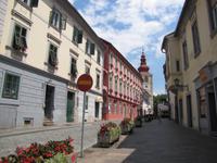 Stadtrundgang - Ptuj