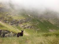 Estany de la Cabana Sorda