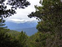 Der Blick in die Ferne