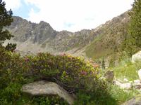 Auf dem Weg zur Ensagents-Hütte