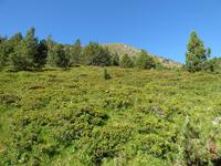 Auf dem Weg zum Sorteny-Naturpark; Hinauf zum Meners-Pass