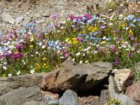 Sorteny-Naturpark // Natur pur!