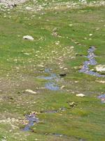 Duna // Sorteny-Naturpark