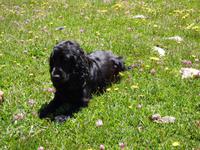 Duna // Sorteny-Naturpark