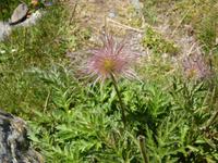 Sorteny-Naturpark // Natur pur!