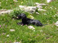 Kleine Prinzessin;-) // Sorteny-Naturpark