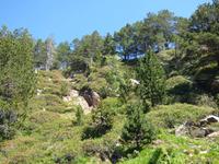 Naturgarten // Vall de Sorteny