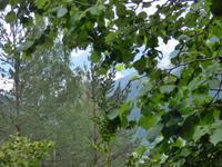 Am Fuße des Comapedrosa