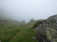 Am Fuße des Comapedrosa